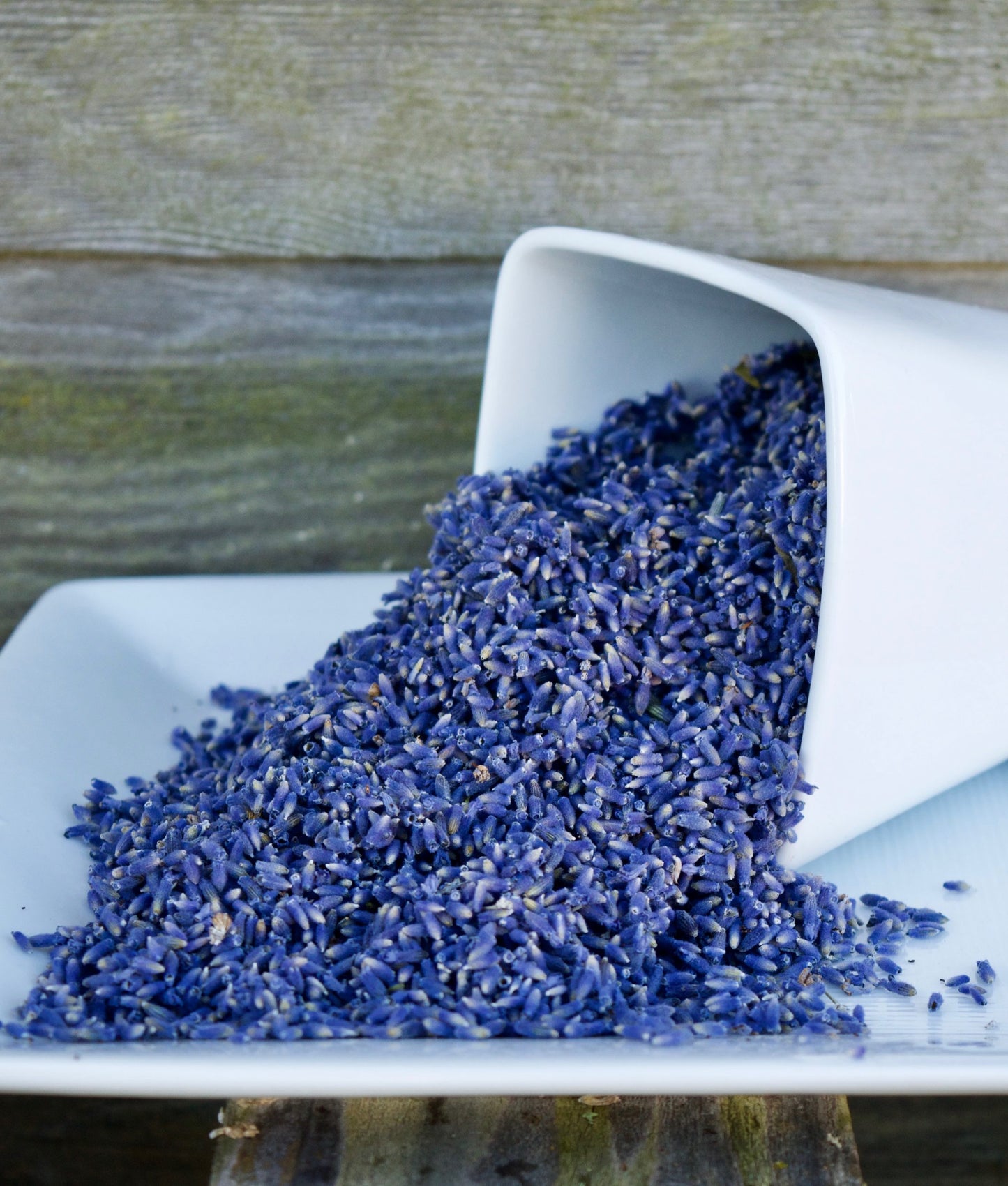 Culinary Lavender