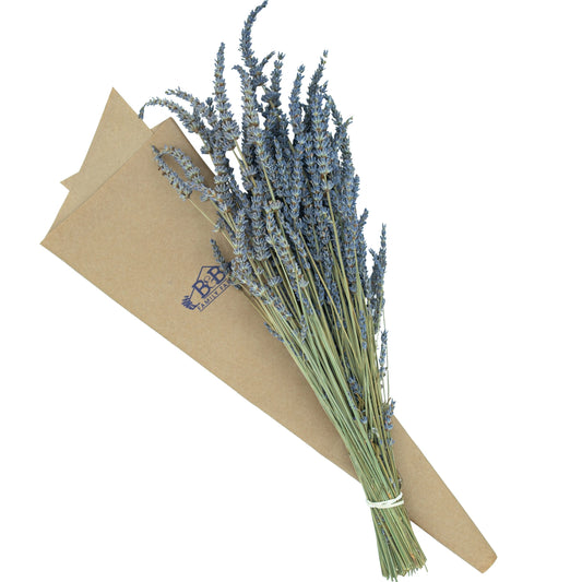 Dried Lavender Bunch