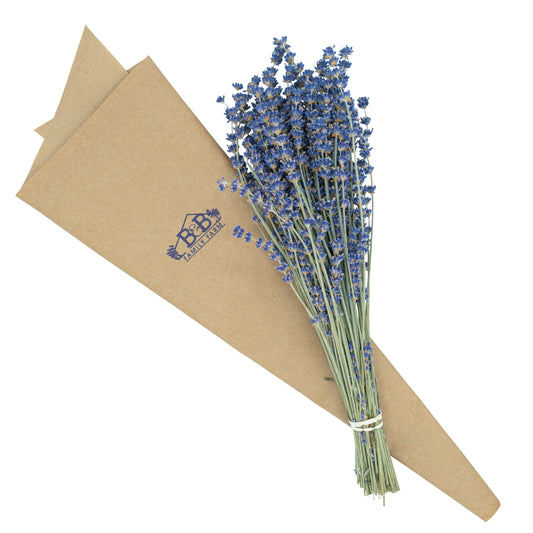 Dried Lavender Bunch